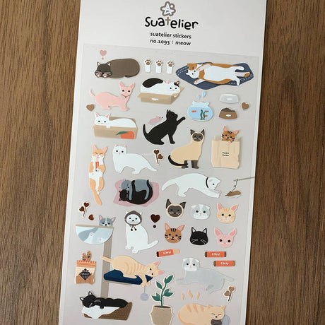 Meow | Scout & Co