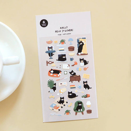 Cat's Catch! | Scout & Co