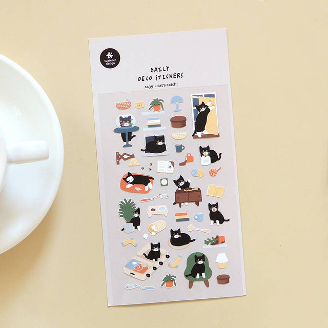 Cat's Catch! | Scout & Co