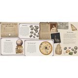 A Natural History of Magick - Poppy David | Scout & Co