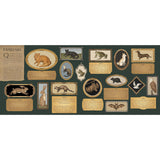 A Natural History of Magick - Poppy David | Scout & Co