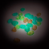 Moulin Roty - Glow in the dark meteorites | Scout & Co