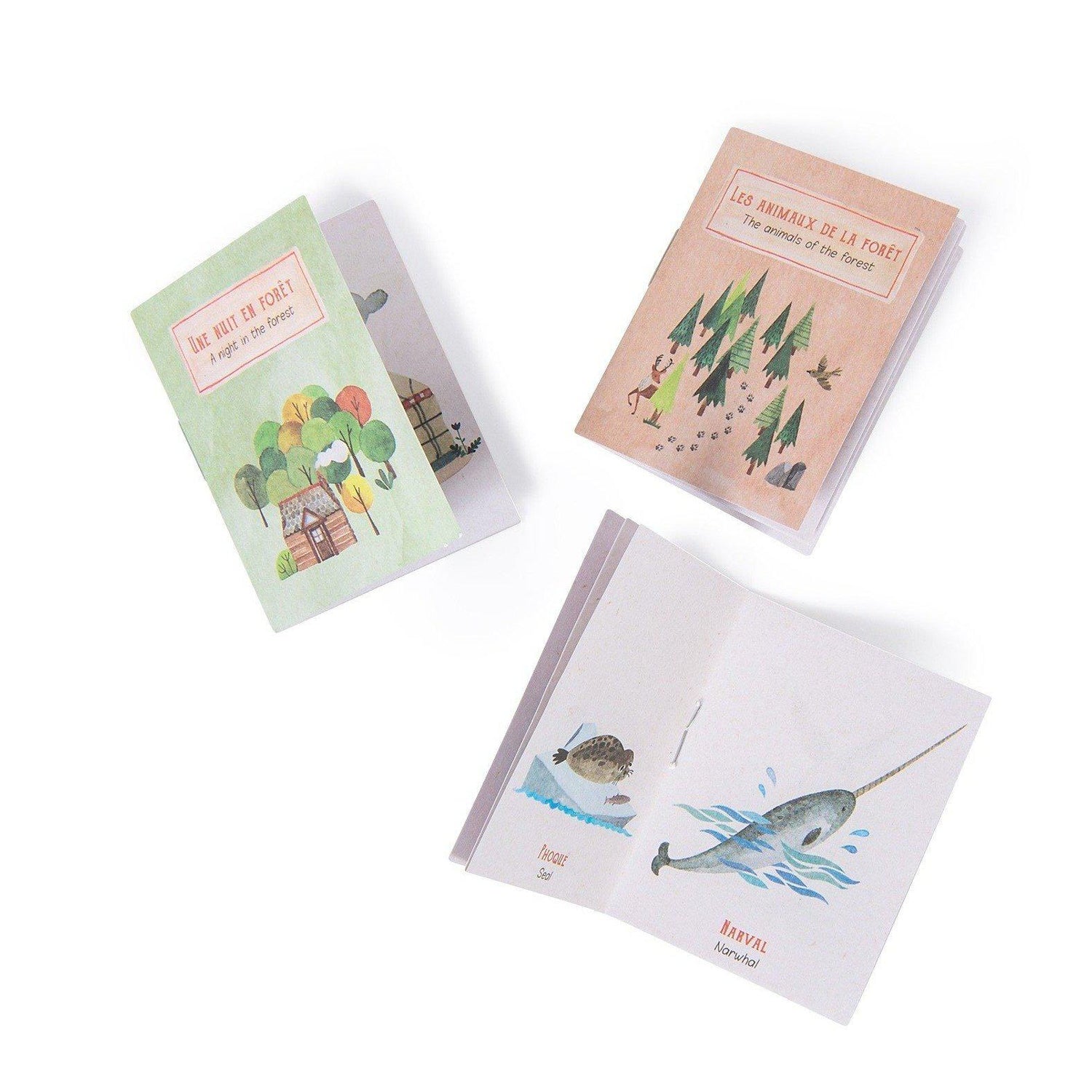 Moulin Roty - Storybook torch - Explorer | Scout & Co