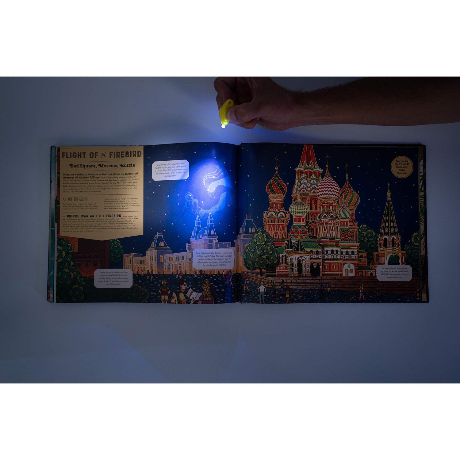 Shine Your Magic Torch: Magical Creatures and Mythical Beasts - Professor Byron & Millie Mortimer | Scout & Co