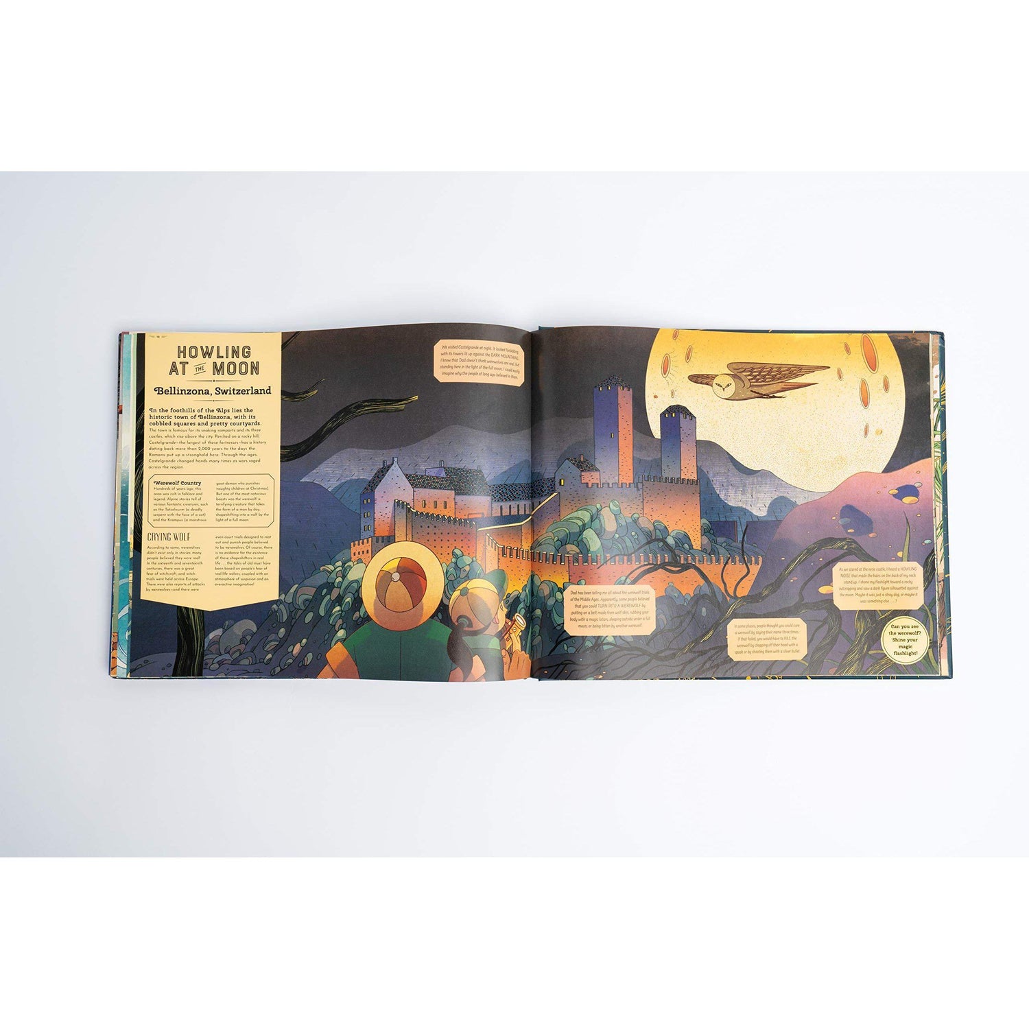 Shine Your Magic Torch: Magical Creatures and Mythical Beasts - Professor Byron & Millie Mortimer | Scout & Co