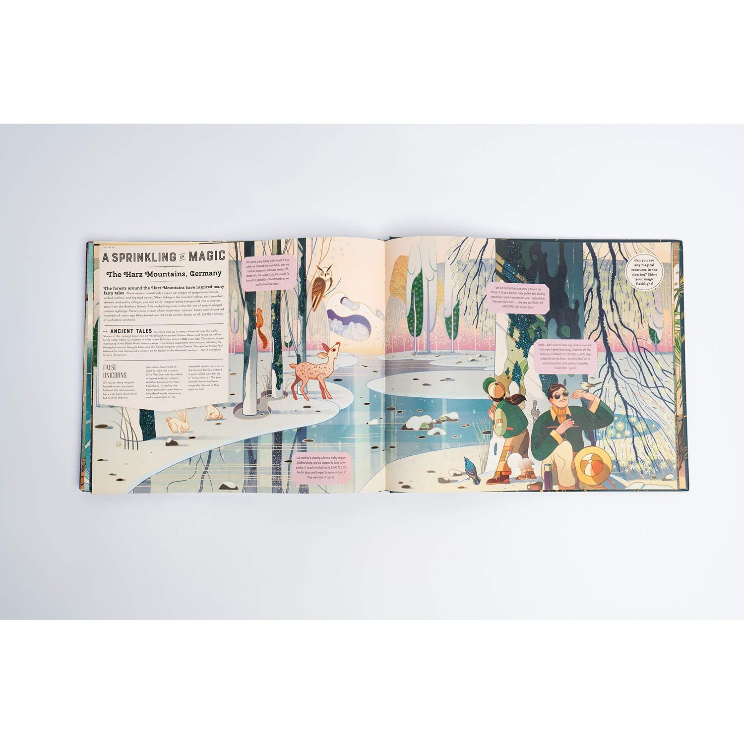 Shine Your Magic Torch: Magical Creatures and Mythical Beasts - Professor Byron & Millie Mortimer | Scout & Co