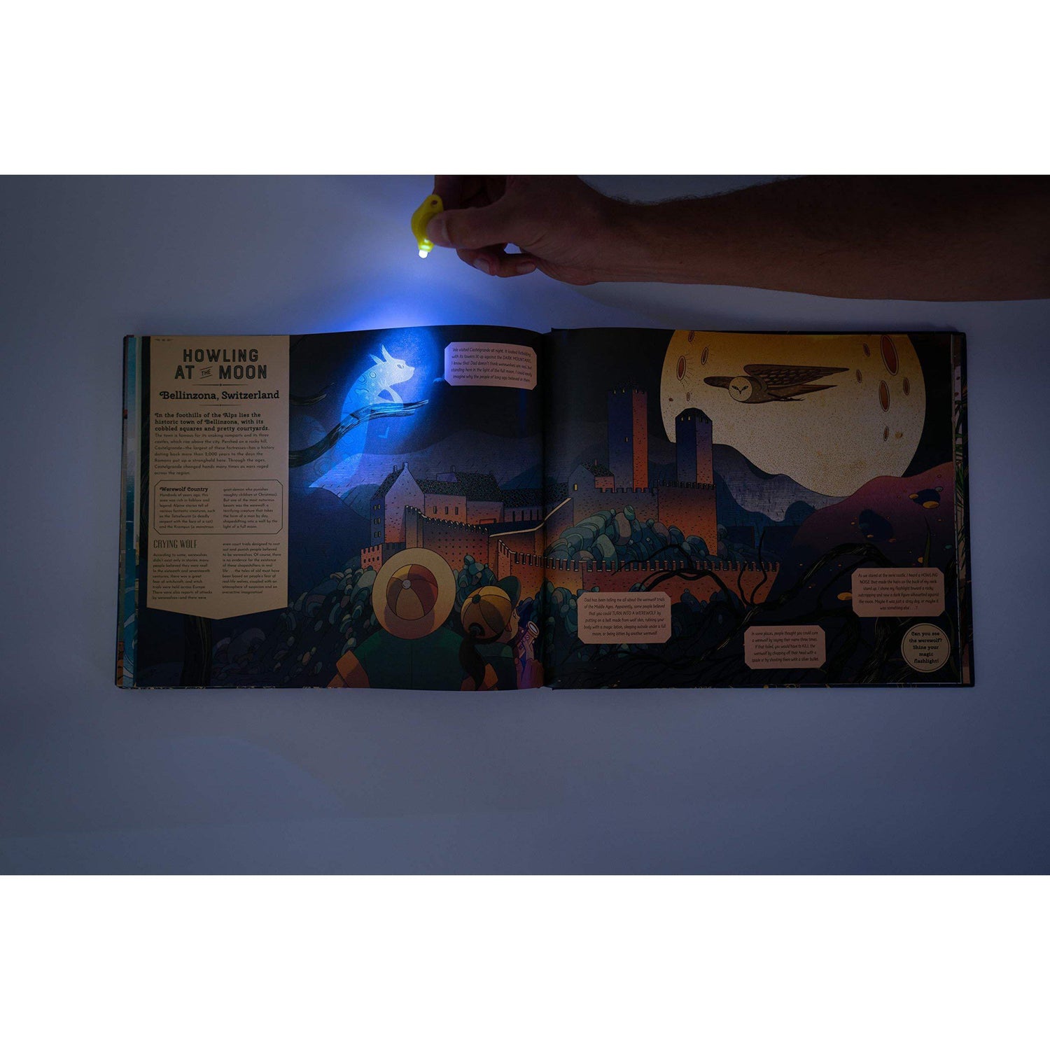 Shine Your Magic Torch: Magical Creatures and Mythical Beasts - Professor Byron & Millie Mortimer | Scout & Co