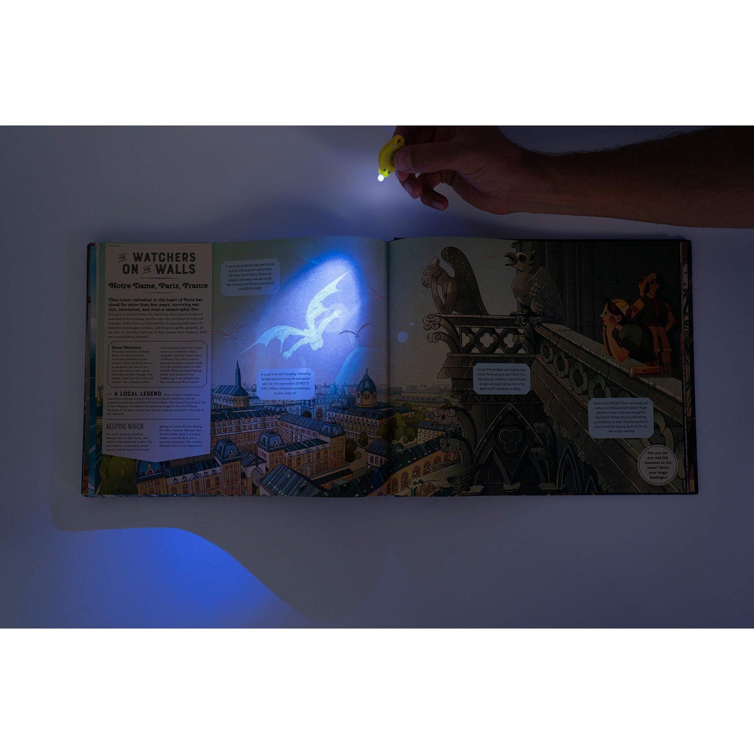 Shine Your Magic Torch: Magical Creatures and Mythical Beasts - Professor Byron & Millie Mortimer | Scout & Co