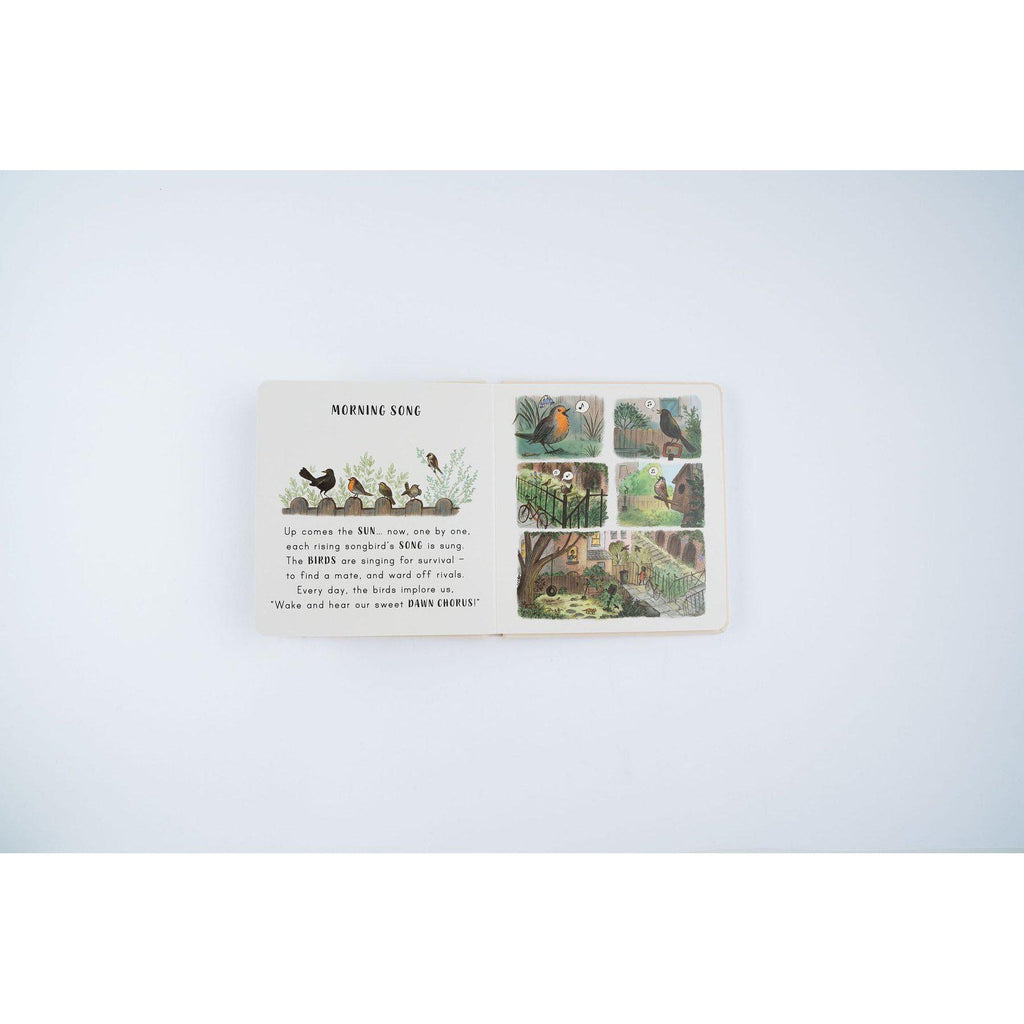 Slow Down… On Your Doorstep board book - Rachel Williams & Freya Hartas | Scout & Co