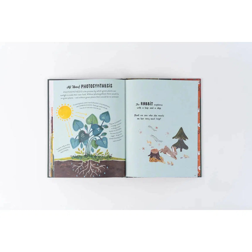 5 Minute Nature Stories - Gabby Dawnay | Scout & Co