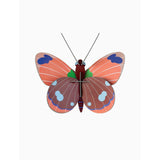 Studio Roof - Small Insects wall art - Delias Butterfly | Scout & Co