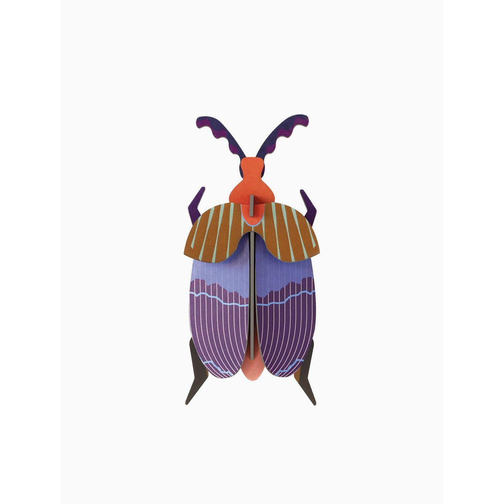 Studio Roof - Small Insects wall art - Queen Beetle | Scout & Co