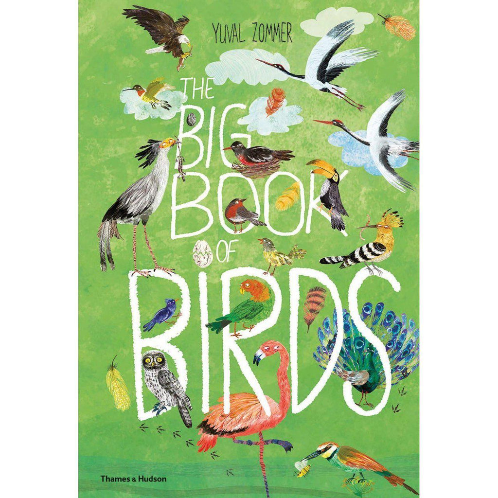 The Big Book Of Birds - Yuval Zommer | Scout & Co