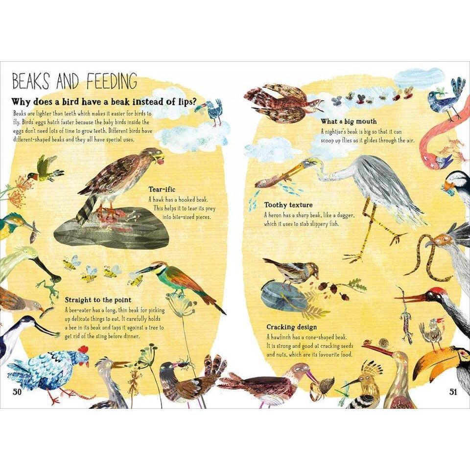 The Big Book Of Birds - Yuval Zommer | Scout & Co