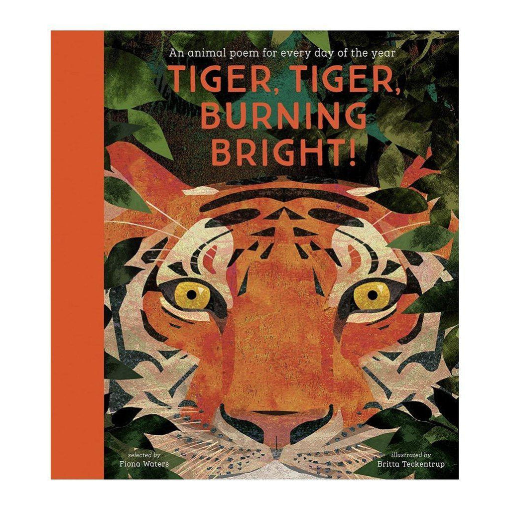 Tiger Tiger Burning Bright: An Animal Poem For Every Day Of The Year - Fiona Waters | Scout & Co