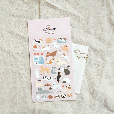 Arrr | Scout & Co