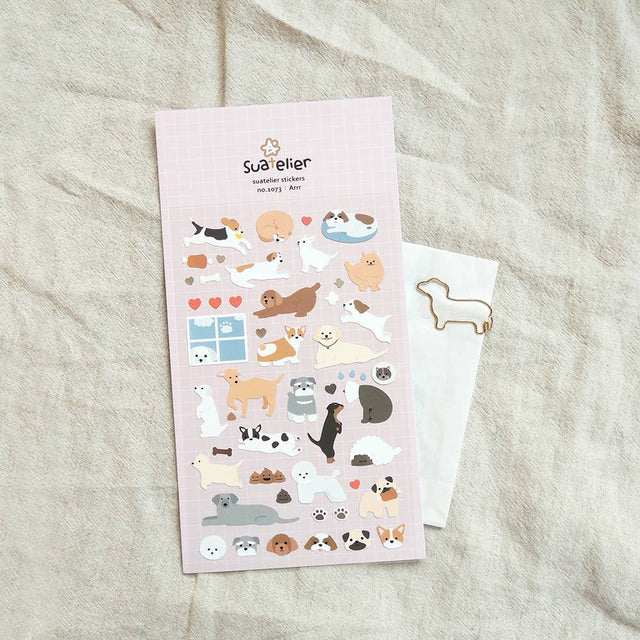 Arrr | Scout & Co