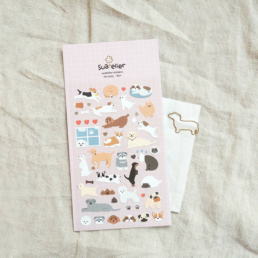 Arrr | Scout & Co