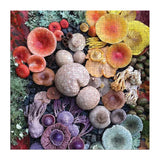 Galison - Shrooms In Bloom jigsaw puzzle - 500 pieces | Scout & Co